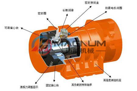 振動篩電機(jī)結(jié)構(gòu)圖